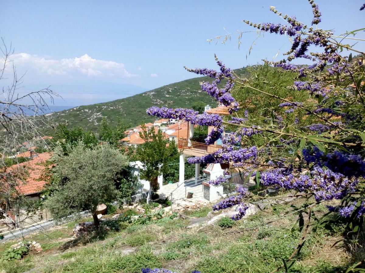 Dimitra'S Garden Villa Kaliráhi Kültér fotó