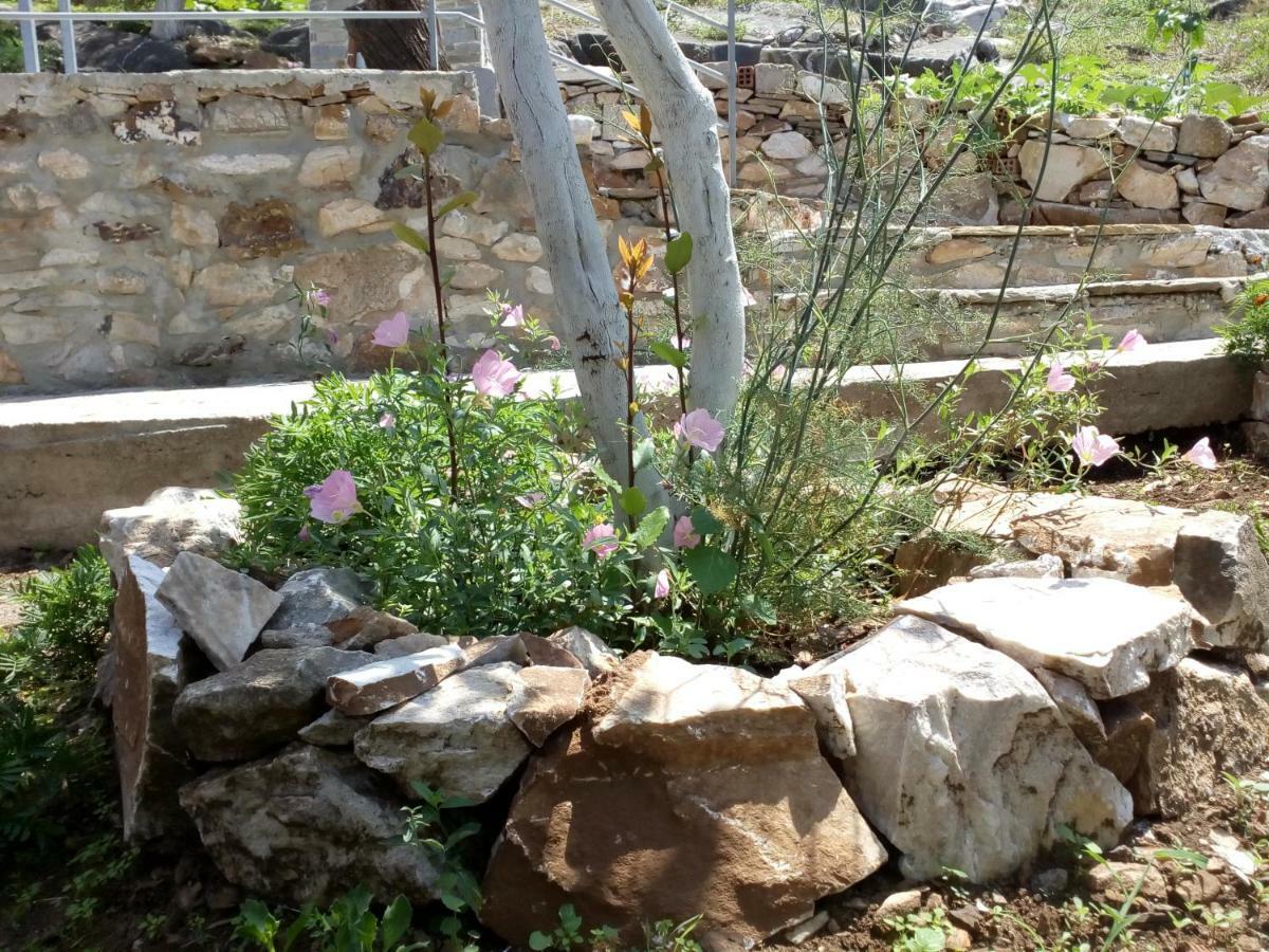 Dimitra'S Garden Villa Kaliráhi Kültér fotó